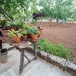 Corte Degli Allori - Salento Patu